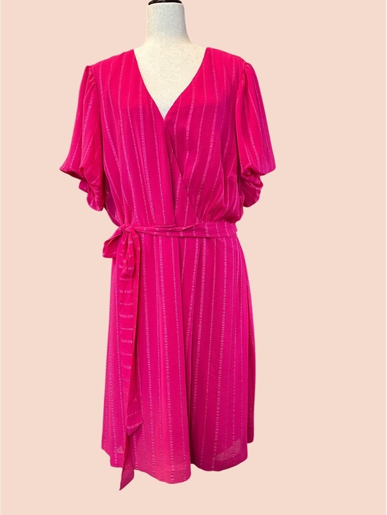 Dresses & Skirts - Danny and Nicole Pink Lined Dress Size 22W